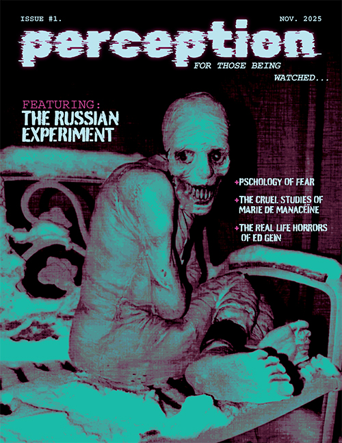 Perception Horror Magazine Front Cover