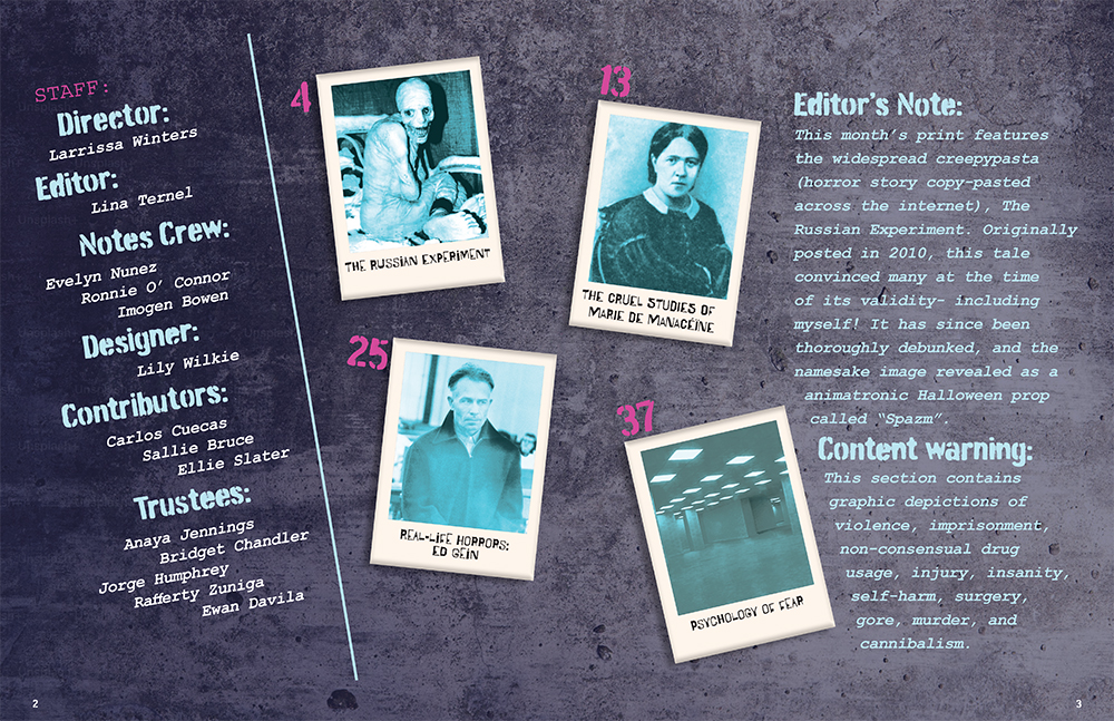 Perception Horror Magazine Inside