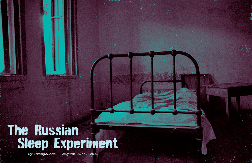 Perception Horror Magazine Inside