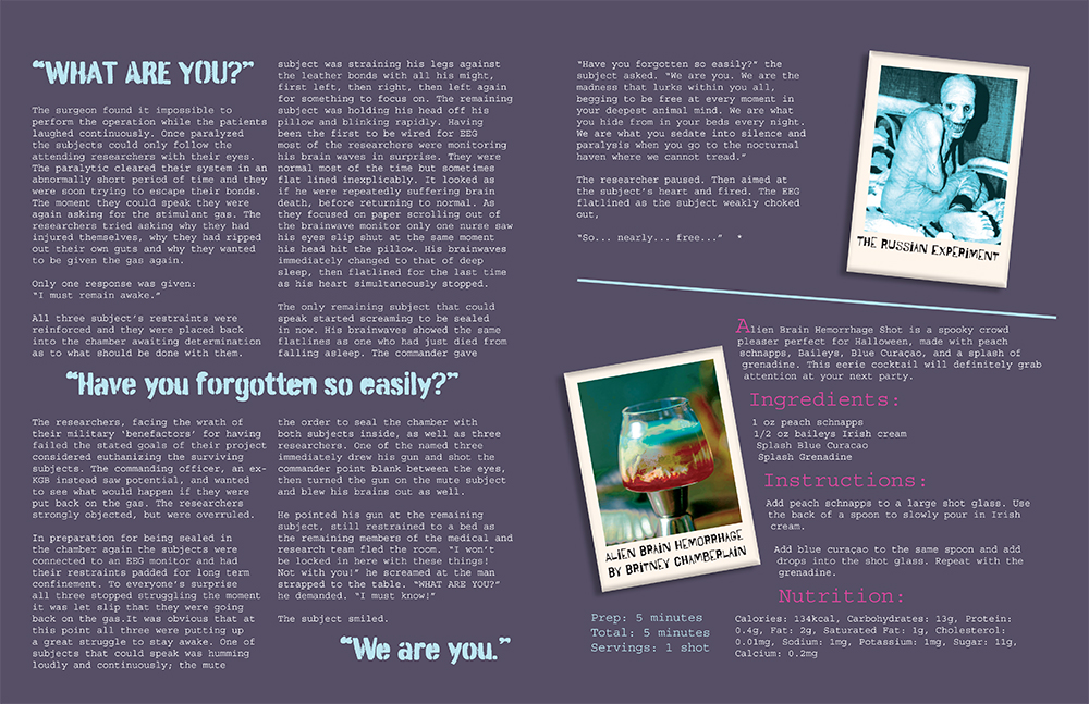 Perception Horror Magazine Inside